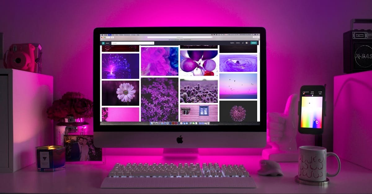 What is the difference between web development and web design?